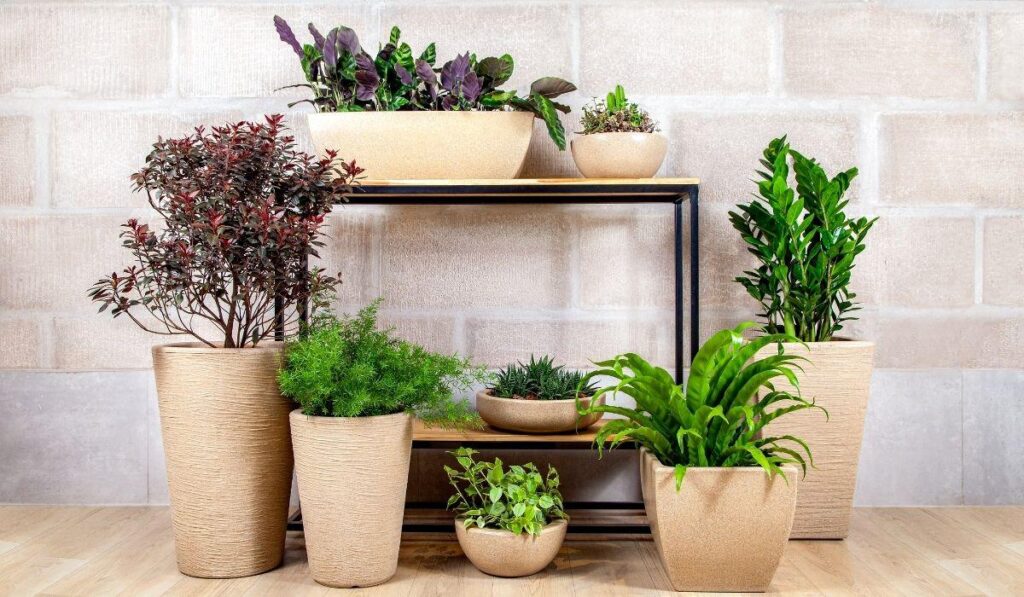 Modelo de vasos para plantas Afort