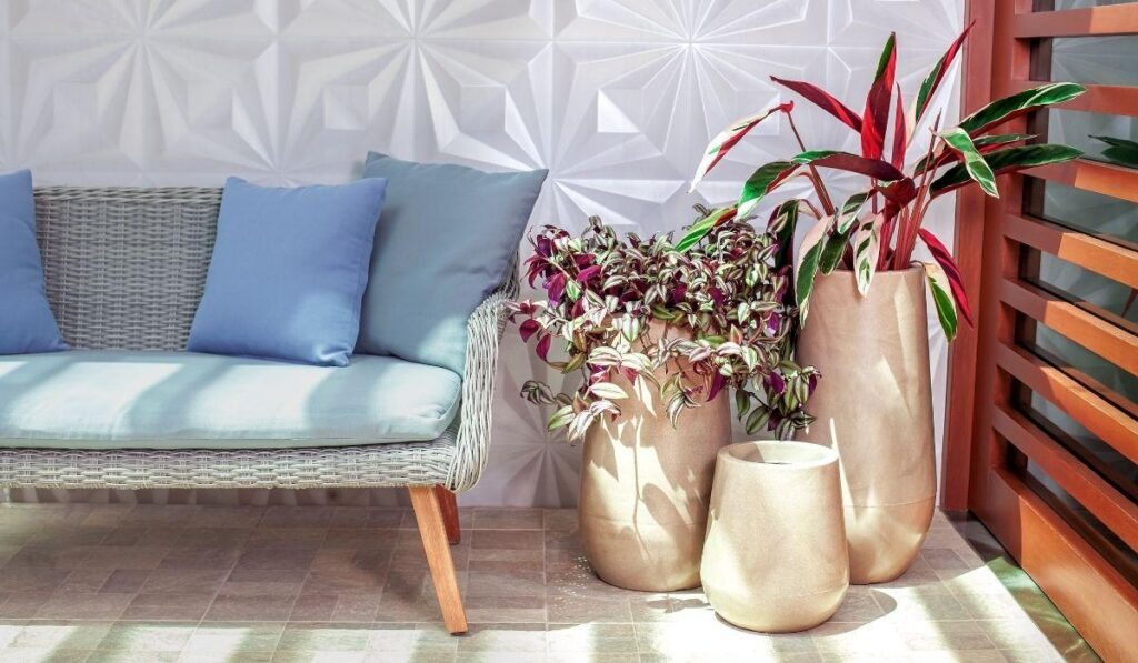 Tipos de vasos para plantas Afort