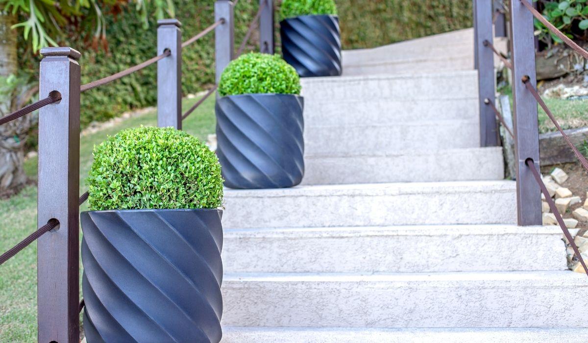 Tipos de vasos para plantas