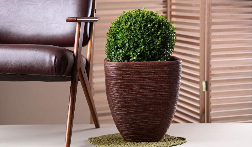 Vaso para planta grande Afort