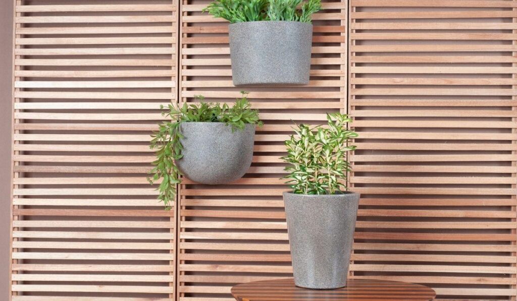 vaso de plantas de plastico 2