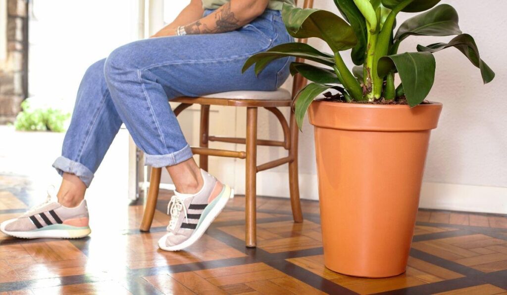 vaso de polietileno 2