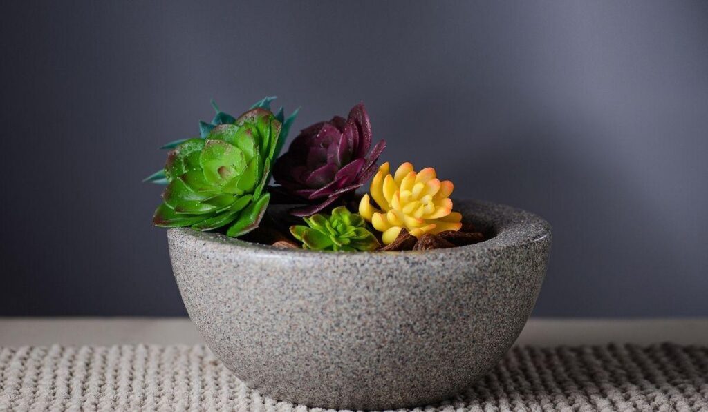 vaso para rosa do deserto 2