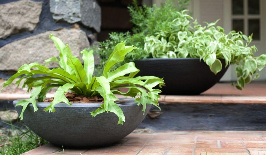 Vasos para jardim Afort