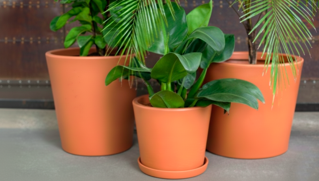 Vasos de polietileno Terrano