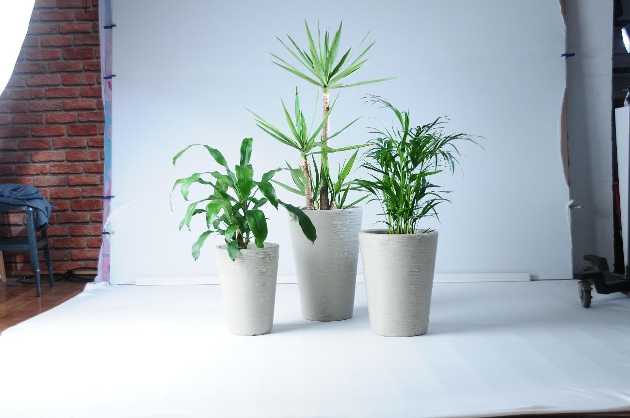 Vasos de polietileno para plantas grandes