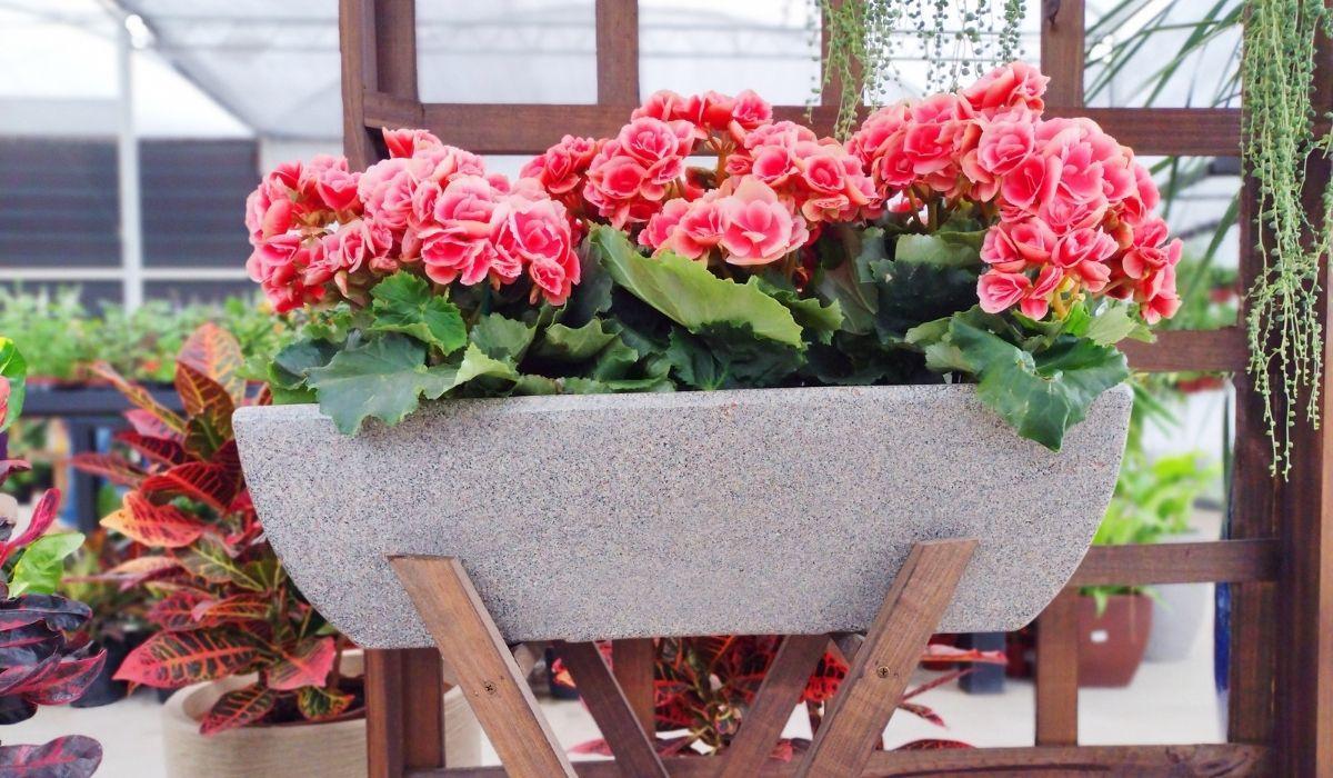 Jardineira de polietileno