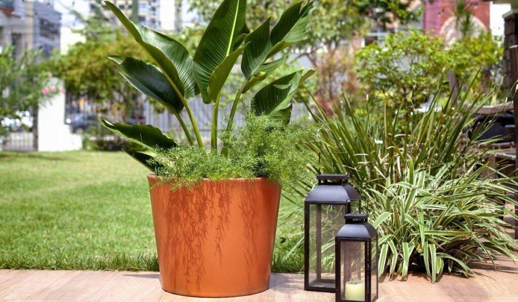 Como organizar e escolher os melhores vasos para jardim 2 image 2
