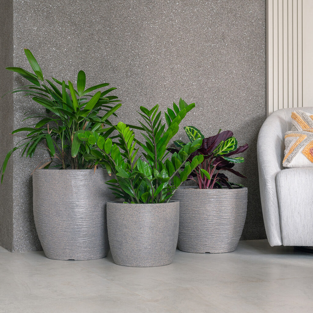 Mitos e verdades do vaso de plástico para planta na sua decoração