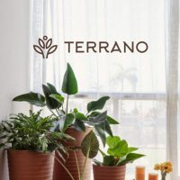 catalogo_terrano